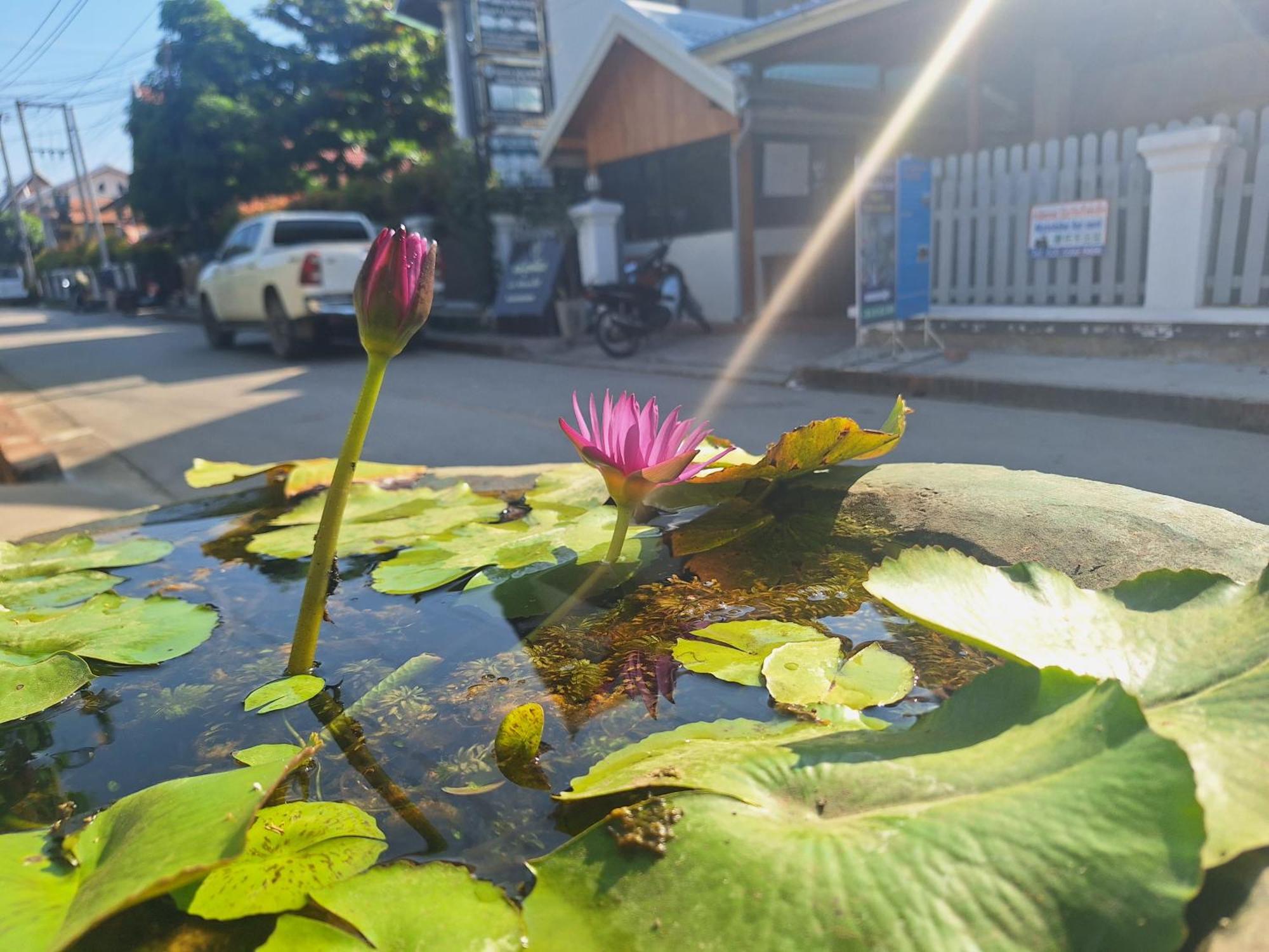 Villa Khounsok Sunset 琅勃拉邦 外观 照片